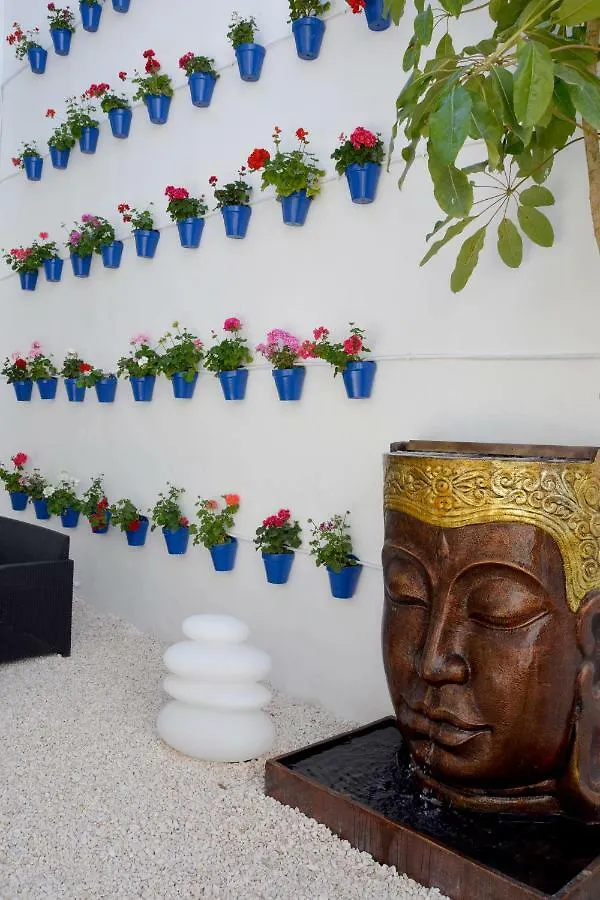 Апартаменты Apartamentos Casa-Patio Las Palmeras Кордова
