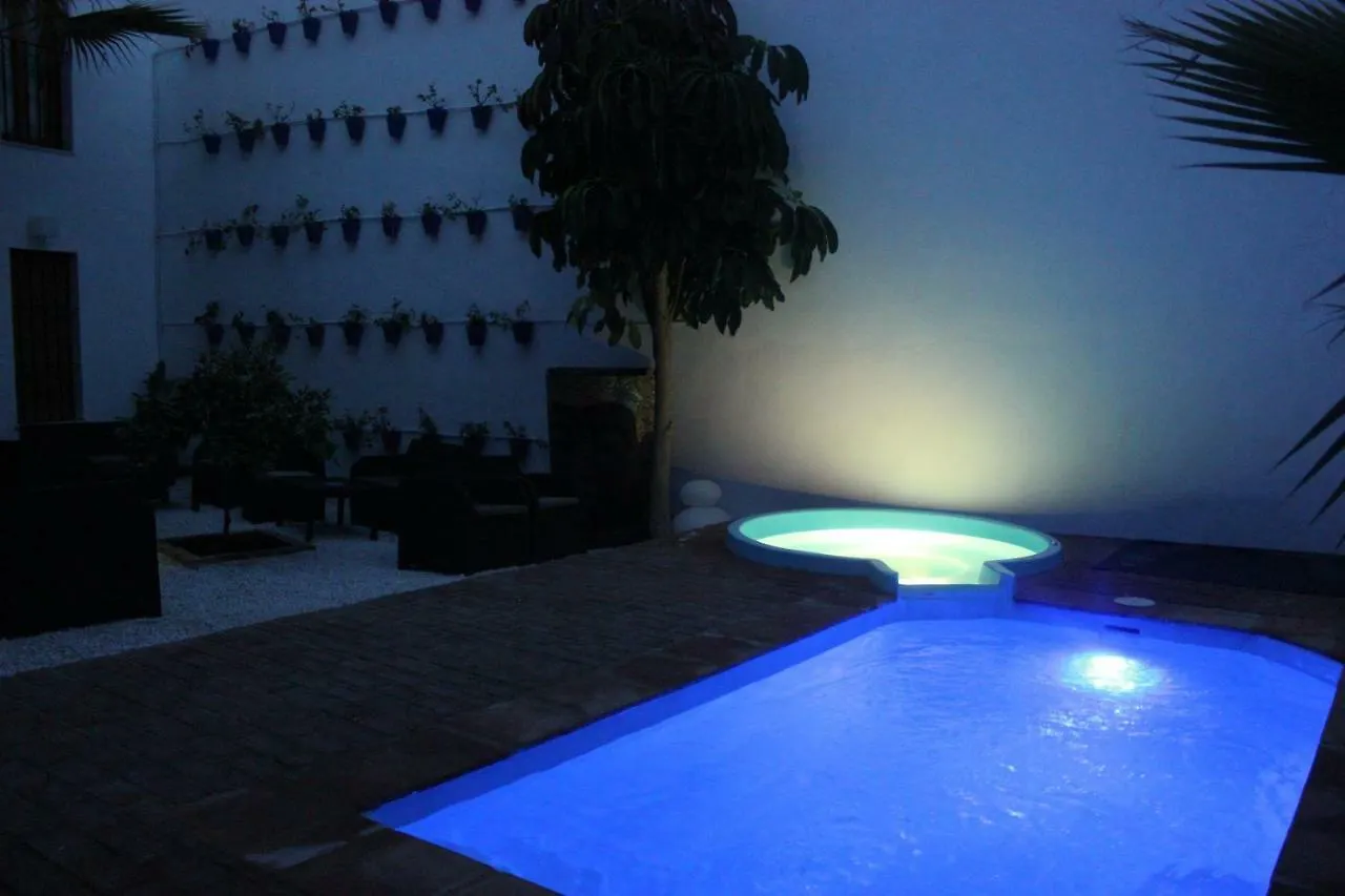 Apartamentos Casa-Patio Las Palmeras Кордова